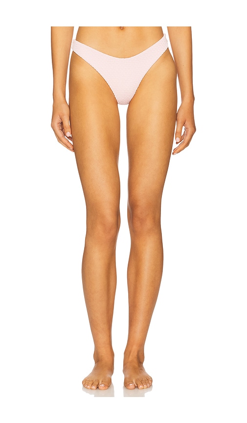 Devon Windsor Gene Bikini Bottom