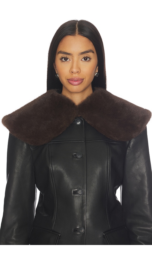 Eaves X Coco Dagna Collar In Brown