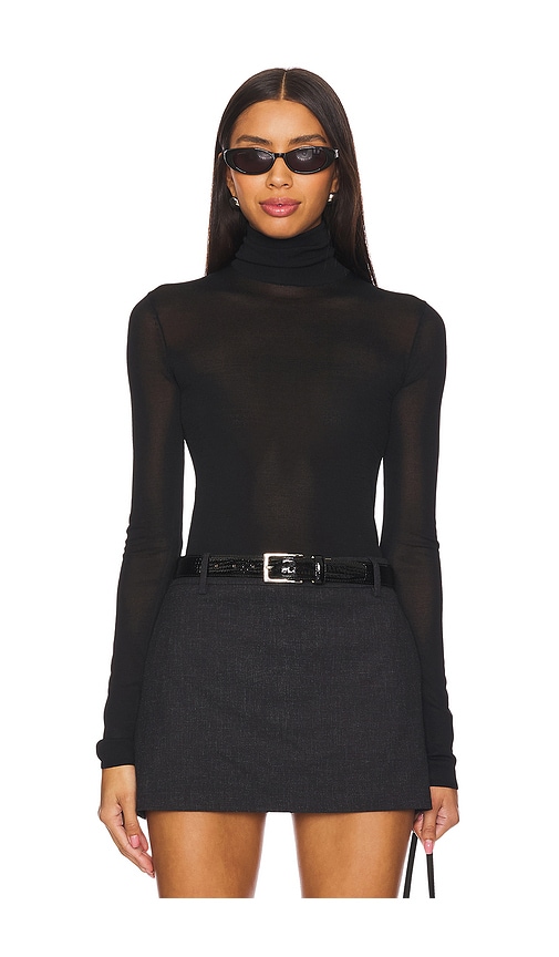 Eaves Alexander Sheer Turtleneck Sweater In 블랙