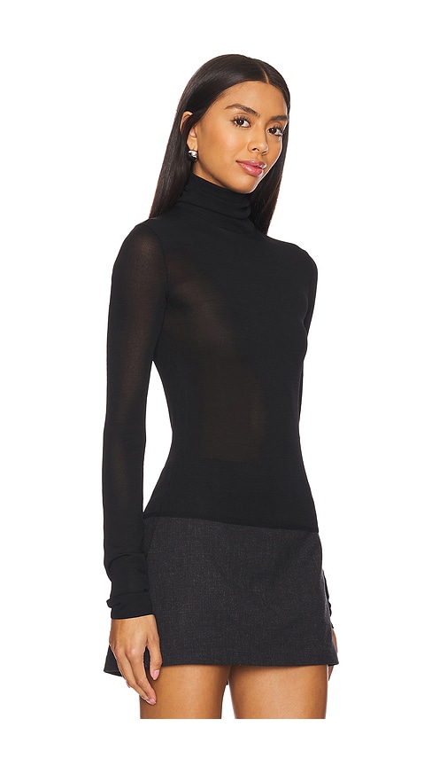 Eaves Alexander Sheer Turtleneck Sweater In 블랙