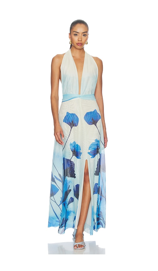 Especia Micelia Long Dress