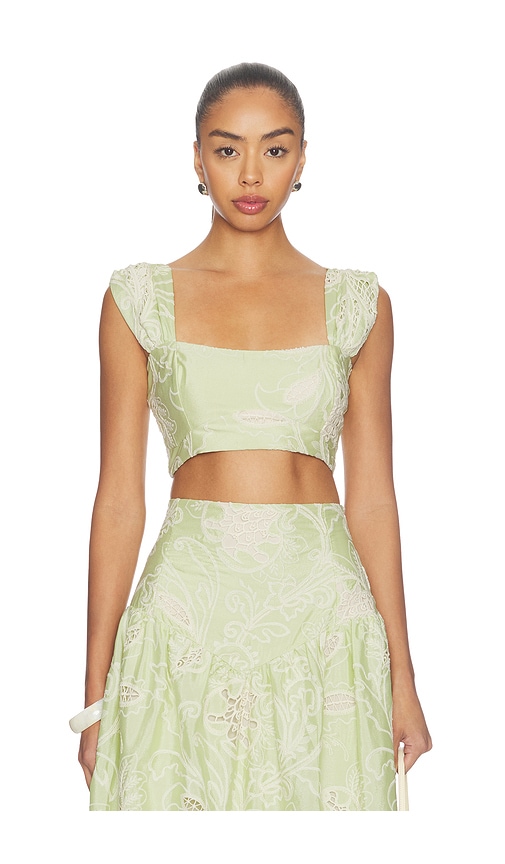 Especia Margarita Crop Top