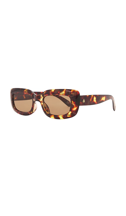 Shop Aire Orbit Sunglasses In Syrup Tort