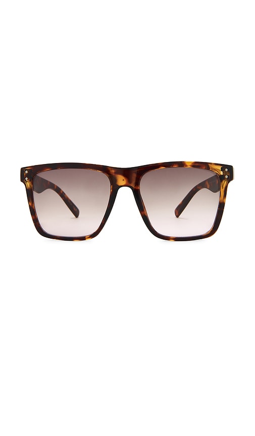 Kraz Sunglasses in Brown.