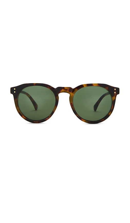 Nucleus Sunglasses in Brown.