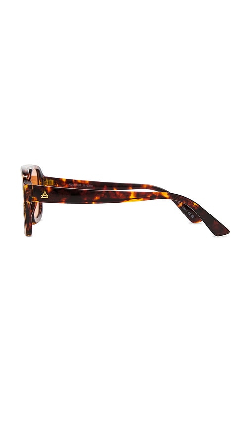  Aire Aquarius Sunglasses In Brown. 