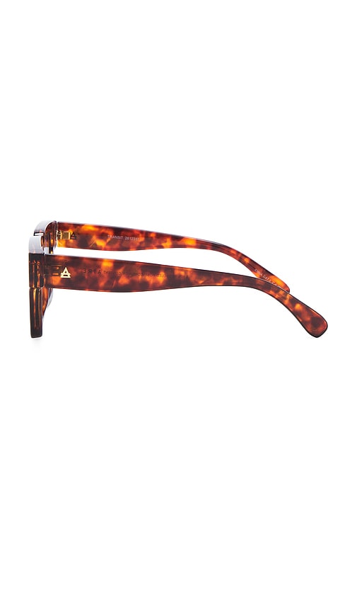  Aire Transit Sunglasses In Brown. 
