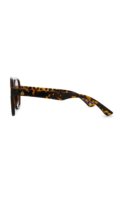  Aire Sonnenbrille Whirlpool In Brown. 