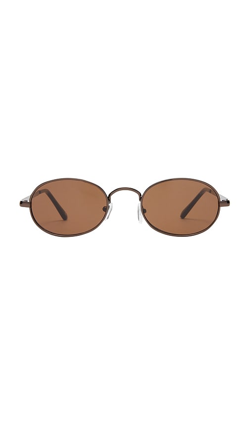 Regulus Sunglasses in Brown.