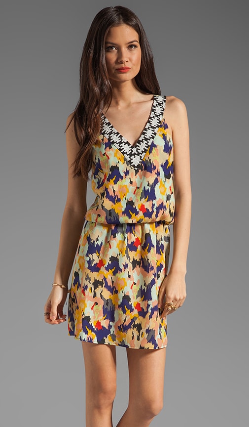 Diane Ikat Dress