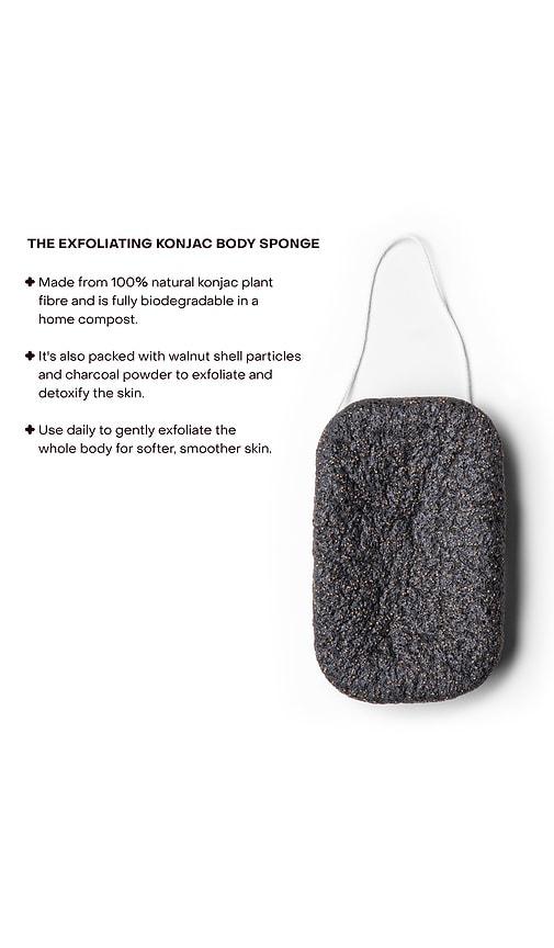  Everist Esponja Corporal The Exfoliating Compostable Konjac Body Sponge En Color Belleza: Na Talla All . 