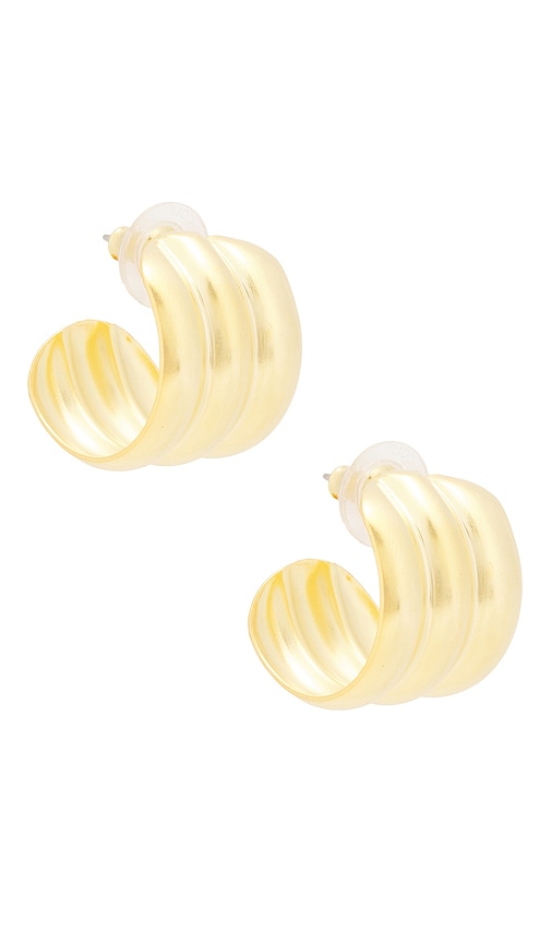 Shop Elizabeth Cole Ribbed Earrings In É‡‘è‰²