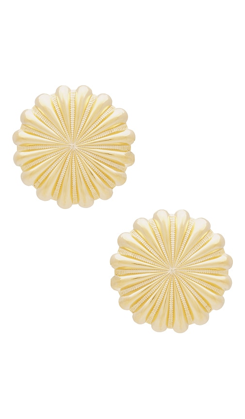 Shop Elizabeth Cole Amira Earrings In 金色