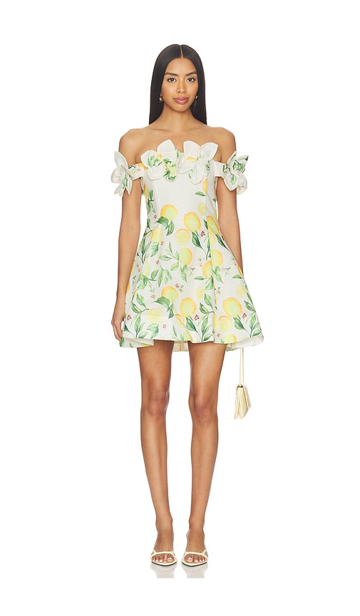 ELLIATT Hana Off The Shoulder Mini Dress