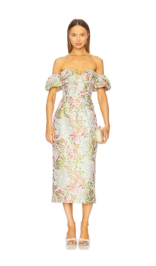 Calaantha Midi Dress in Blush, Green. - size XXL (also in S, XS, XXS)