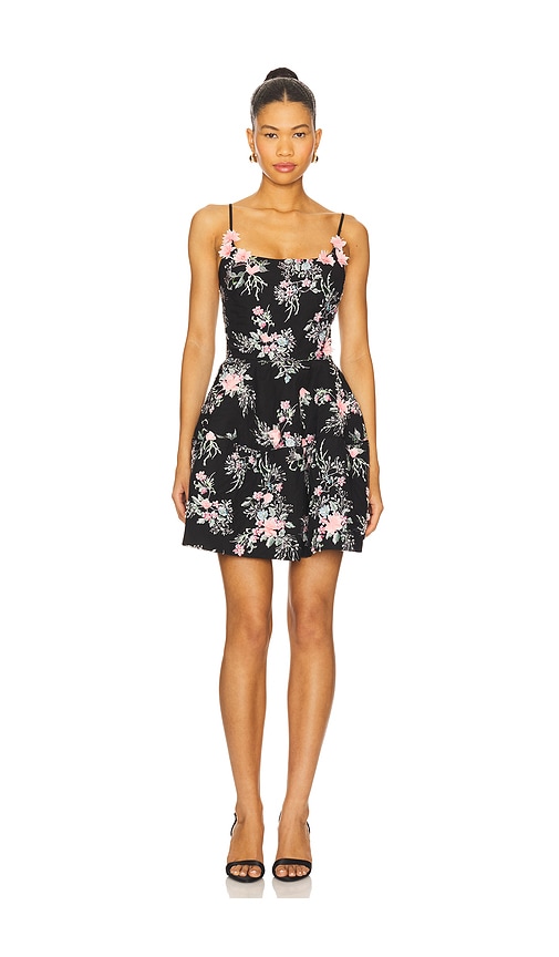 Elliatt Gaia Mini Dress In Transparent