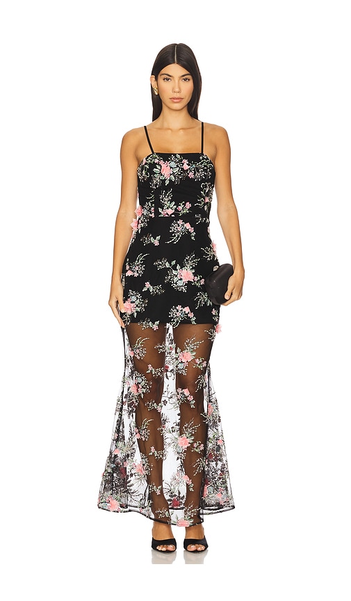Floral Sheer Dress: Flower Print Mini, Midi, Maxi | REVOLVE