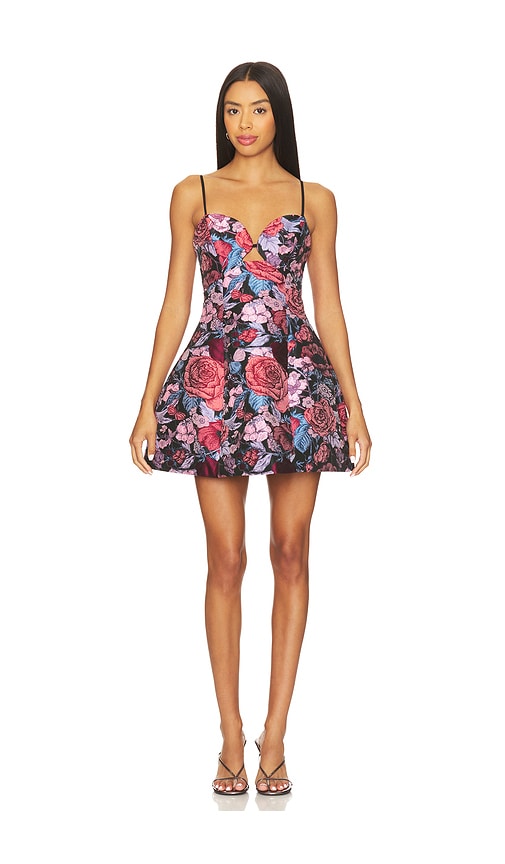 Elliatt Delphine Tulip Mini Dress In Multi