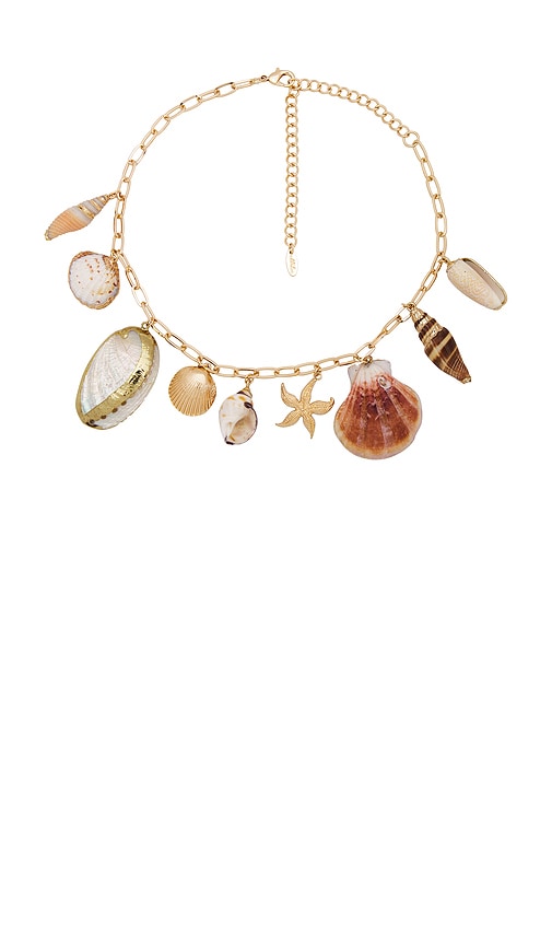 Shop Ettika Private Island Assorted Shell Necklace In 金色