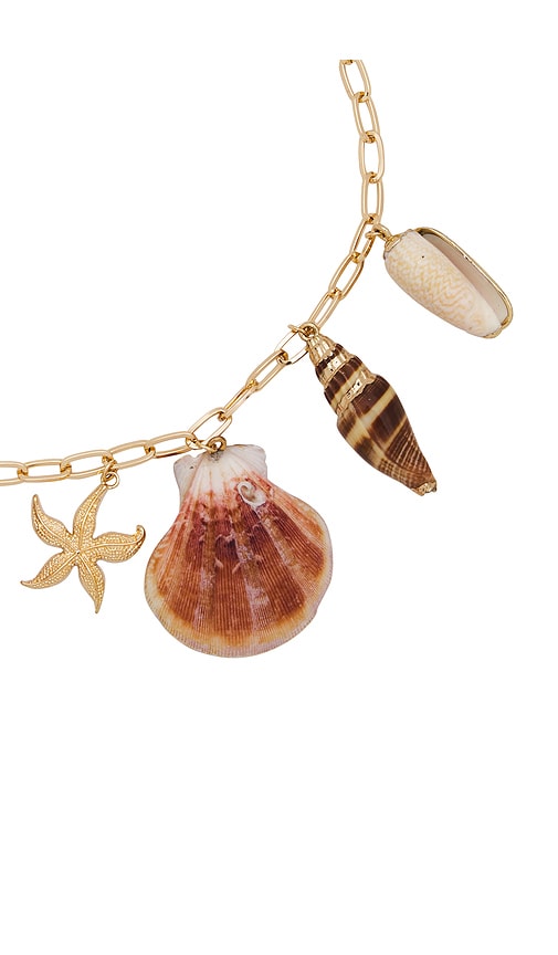 Shop Ettika Private Island Assorted Shell Necklace In 金色