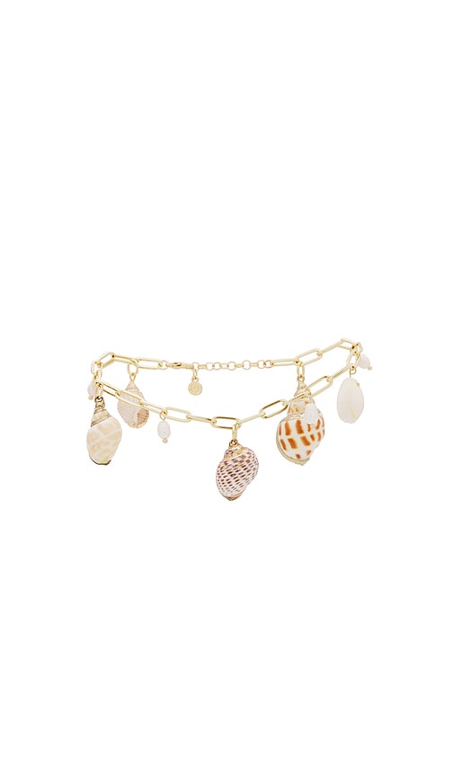 Ettika Paperclip Chain Shell Charm Anklet in Gold