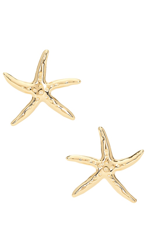 BOUCLES D'OREILLES in - Ettika - Modalova