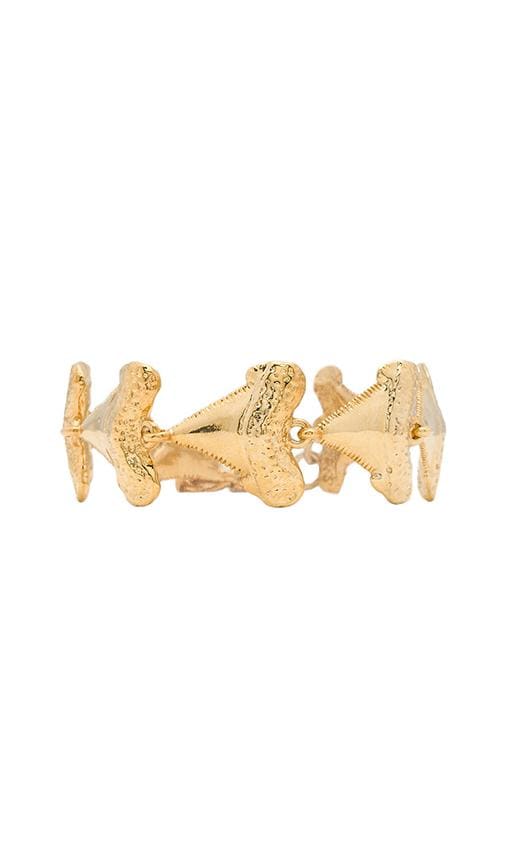 Small Shark Tooth Bracelet