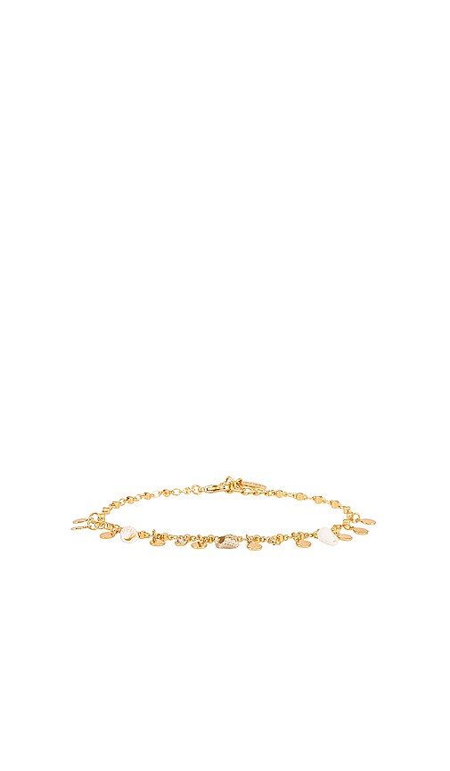 Shell Anklet