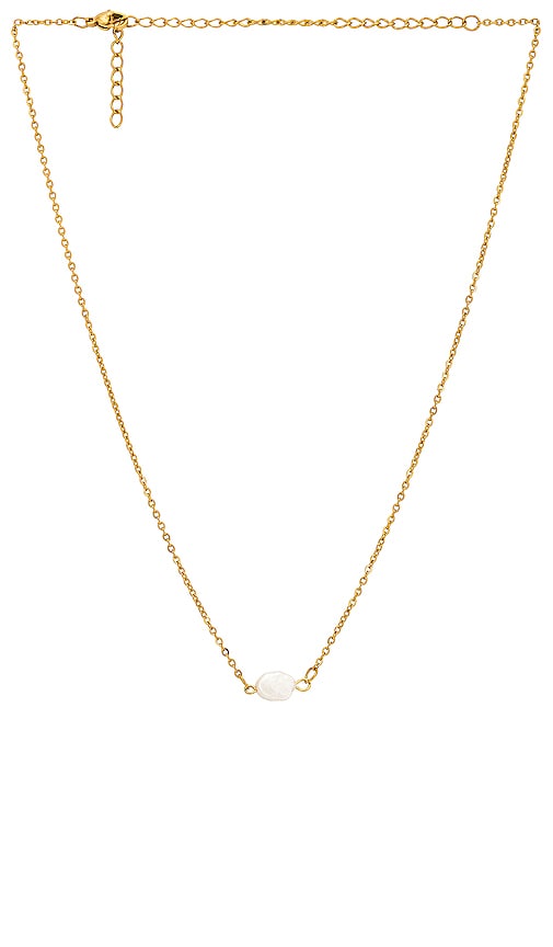 Ellie Vail Shayla Pearl Choker Necklace In Gold in Gold
