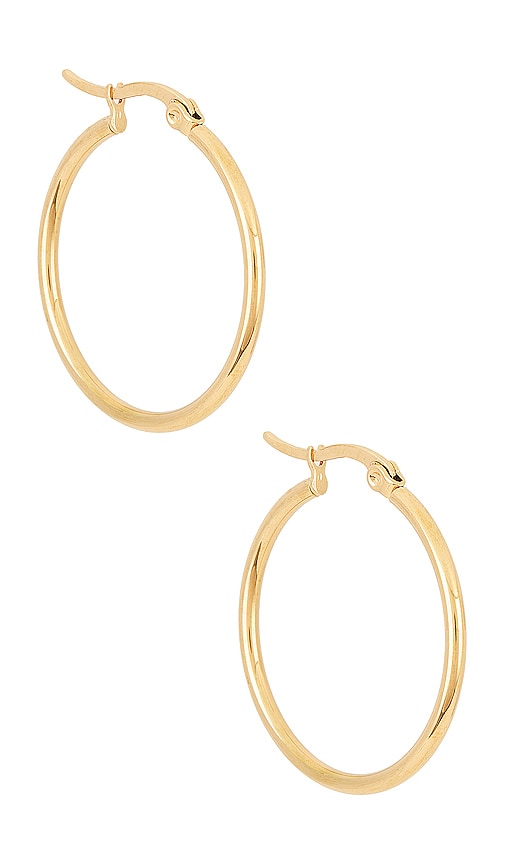 Ellie Vail Laurette Medium Hoop Earrings in Gold