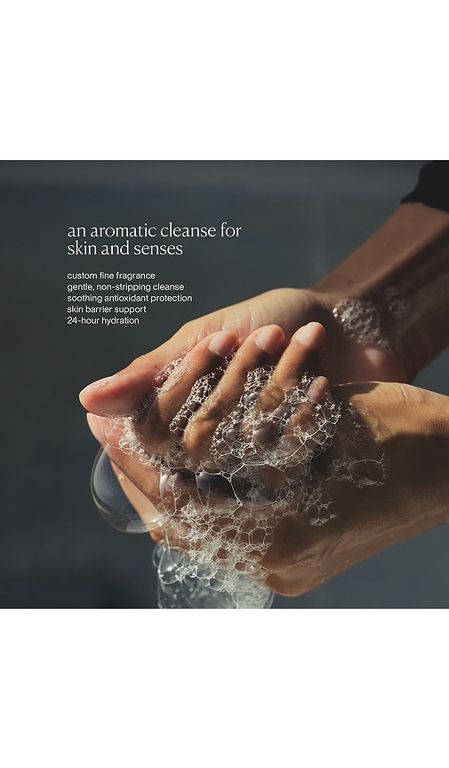 Evolvetogether Restorative Hand Wash In Transparent