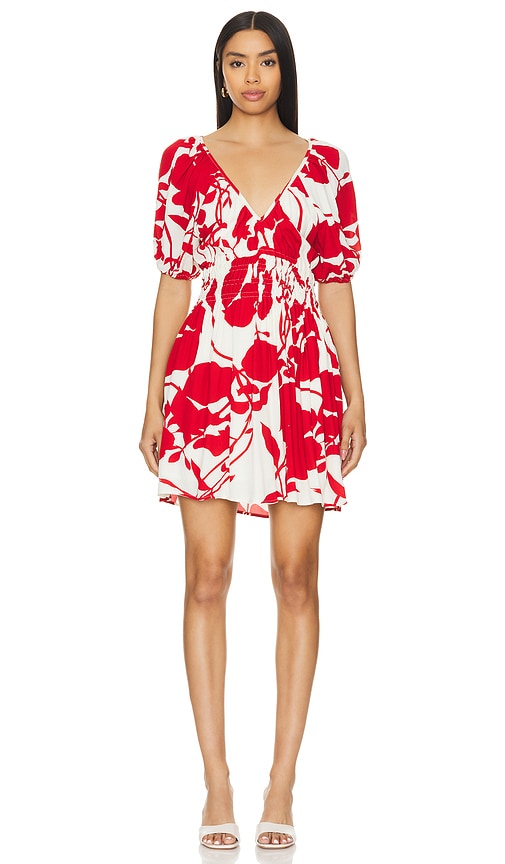 Shop Faithfull The Brand X Revolve Salone Mini Dress In Red Floral