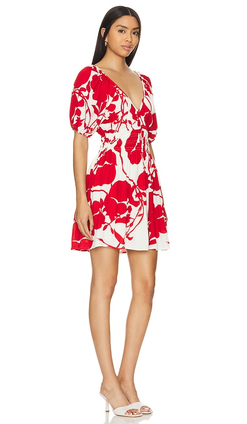 Shop Faithfull The Brand X Revolve Salone Mini Dress In Red Floral