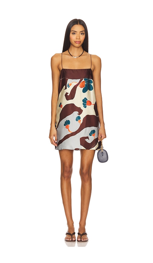 Phylis Mini Dress in Chocolate. - size XL (also in L, M, S, XS)