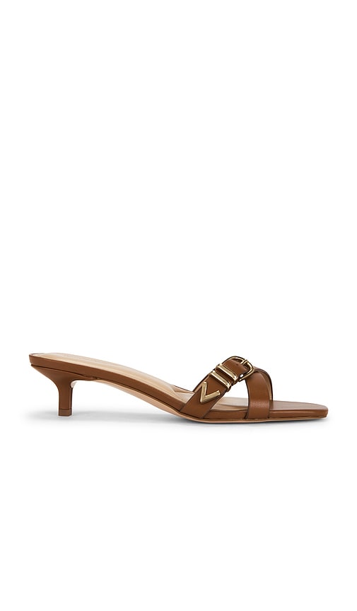 Favorite Daughter Shiloh Mule