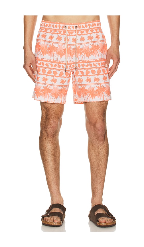 Fair Harbor Bayberryswim Trunk