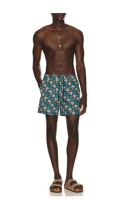  Fair Harbor Badehose In Teal. Größe S. Also In M, L, Xl/1x. 
