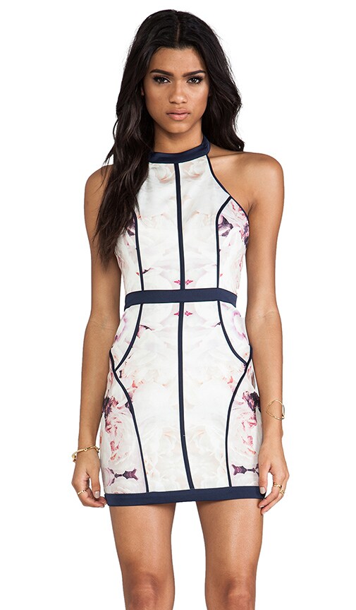 Winter Birds Dress
