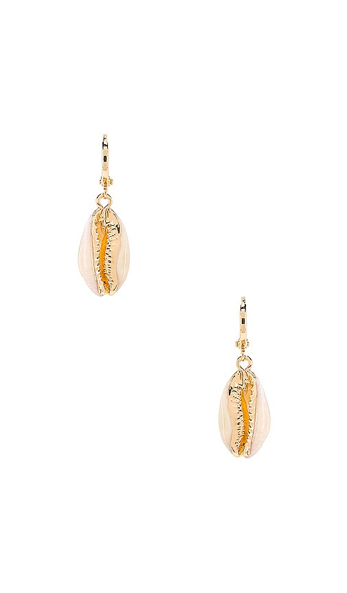 Camden Shell Hoop Earrings