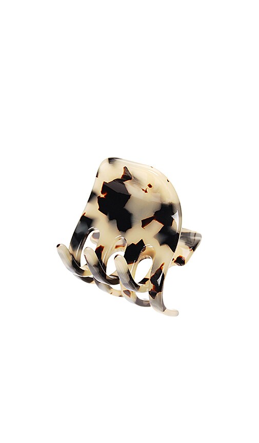 Medium Gallery Jaw