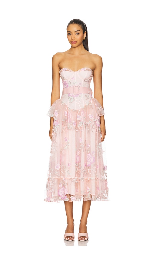 Emmeline Embroidery Midi Dress in Blush. - size S (also in M)