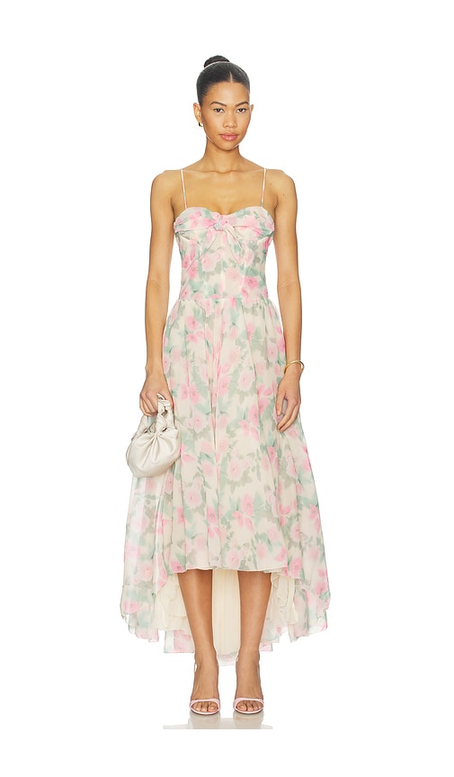 Satin Burnout Maxi Dress