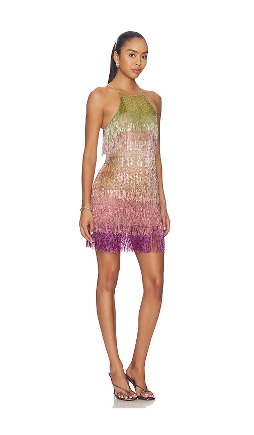 For Love & Lemons Tropic Crush Mini Dress | Thumbnail 2