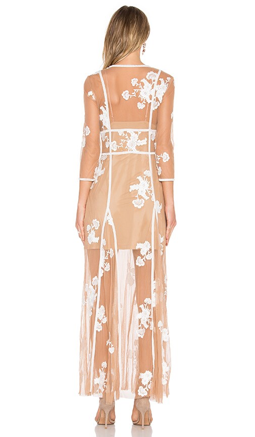 for love and lemons elenora