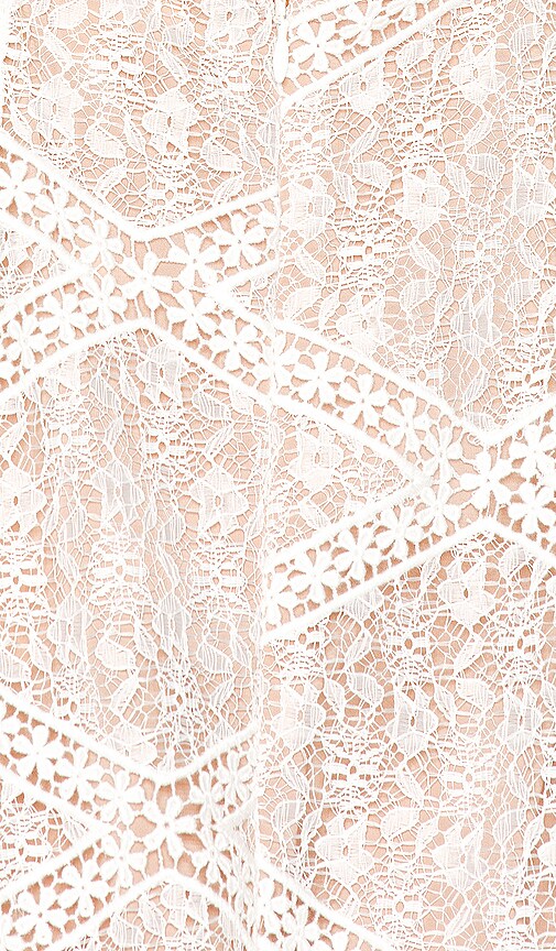 sequoia lace mini dress