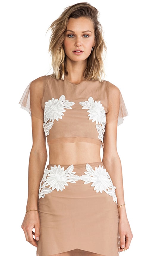 Balmly Nights Crop Top