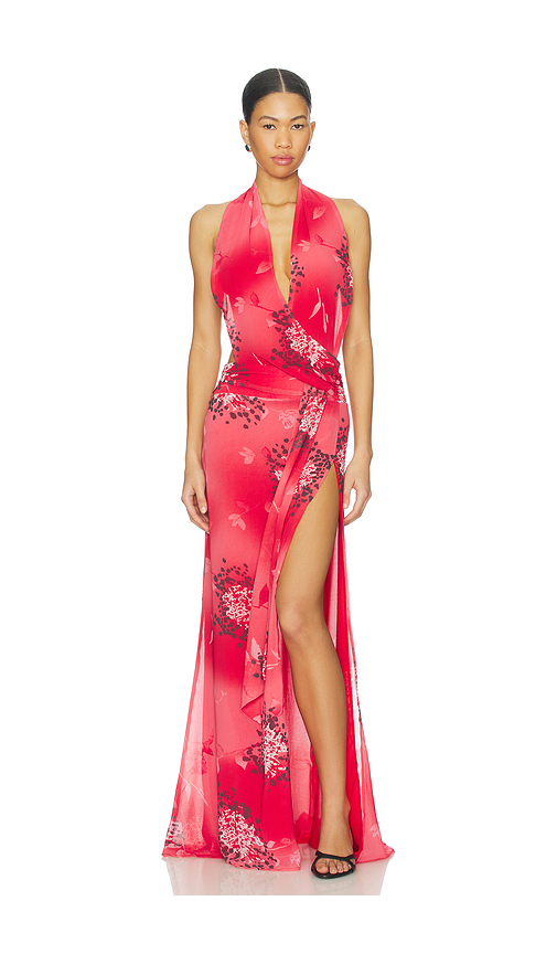 Red Floral Maxi Dresses: Designer Fashion, Free Shipping | REVOLVE