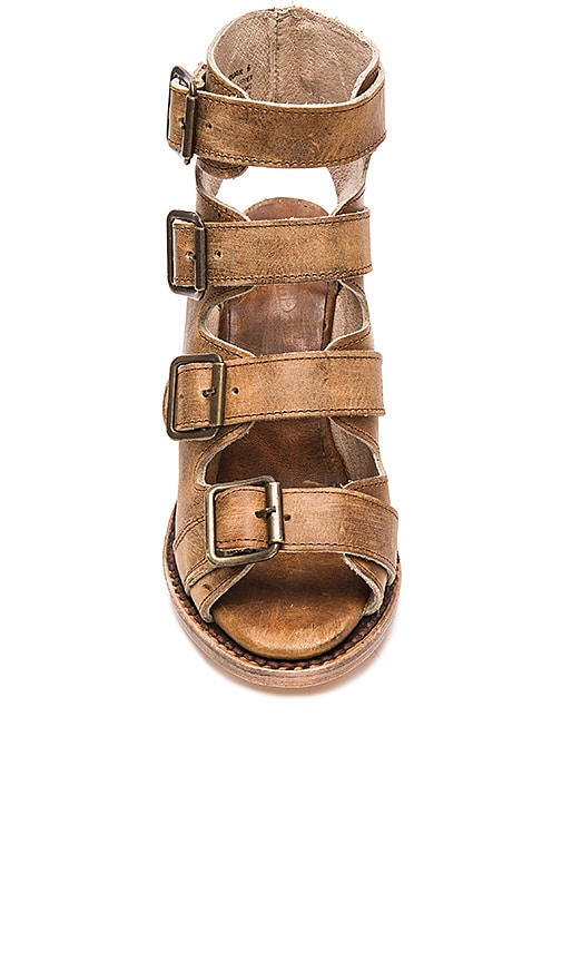 freebird by steven quail