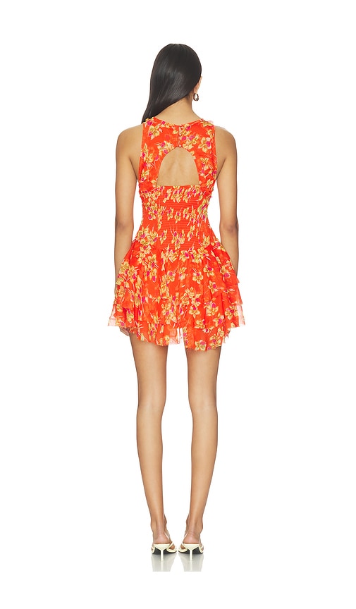 Free People Raven Printed Mini Dress | Thumbnail 3