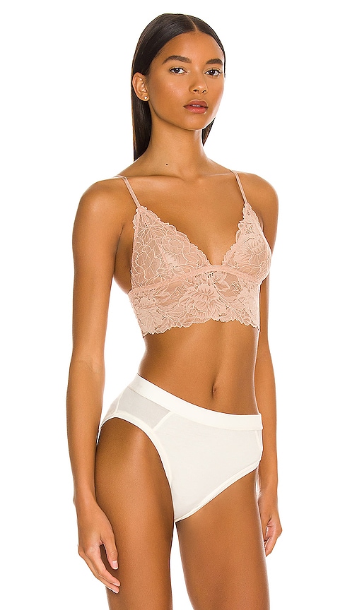 Shop Free People Everyday Lace Longline Bra In Tuscany